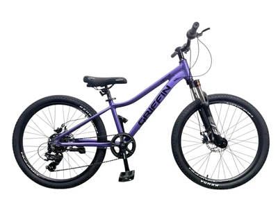 Підлітковий велосипед Griffin Nice AM 24" фіолетовий
