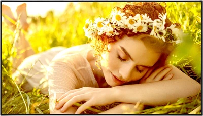 Monitor 55" 4K UHD Signage LG 55UL5Q-E