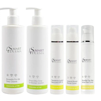 Набір косметики для комбінованої, жирної та шкіри з акне Acnederm Active Smart4Derma