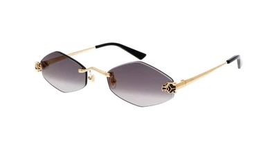 Солнцезащитные очки Cartier Panthère Losange CT0433S Черный
