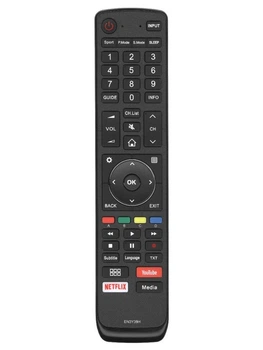 Пульт для телевизора Hisense EN3Y39H
