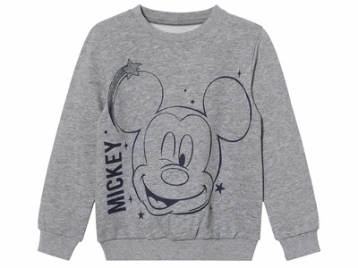 Свитшот с начесом для мальчика Disney Mickey Mouse 457069 110-116 см (4-6 years) Серый