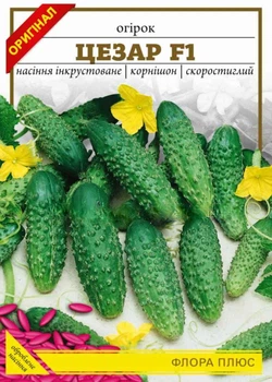 Огірок Цезар F1, 1 г