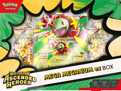 Zestaw kart Pokemon TCG: Mega Evolution - Ascended Heroes - Mega Meganium ex Box (196214132030)