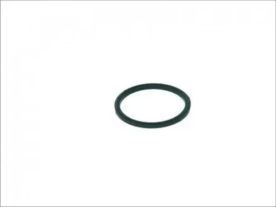 Уплотнительное кольцо Bosch (F 00R 0P1 246)