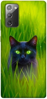 TPU чохол Demsky Cat in the grass для Samsung Galaxy Note 20