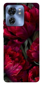 TPU чохол Demsky Passion flower для Motorola Edge 40