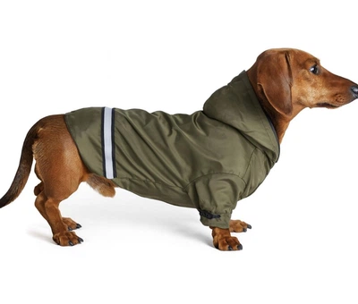 Куртка для собак середніх порід DIEGO jacket хакі водовідштовхувальна для такс Розмір L демісезонна зі світловідбивачами