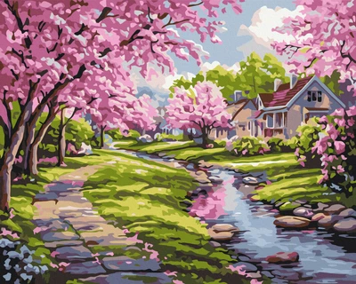 Картина по номерам Сакура у дома 40x50 BS54231