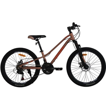 Велосипед SPARK ROAD (колеса – 24", алюминиевая рама – 11") бронзовый
