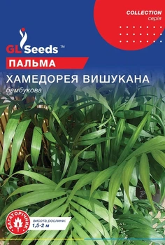 Насіння Пальми бамбукової Хамедорея (5шт), Collection, TM GL Seeds