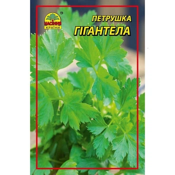 Насіння петрушки Гігантела F1 1 г (Насіння країни)