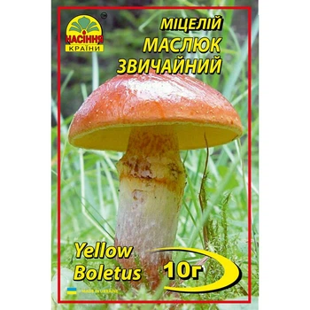 Міцелій грибів Маслюк 10 г (Насіння країни)