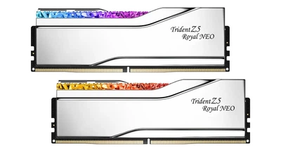 Оперативная память DDR5 64 Gb (6000 MHz) (Kit 32 Gb x 2) G.SKILL Trident Z5 Royal Neo Silver AMD EXPO (F5-6000J2636H32GX2-TR5NS)