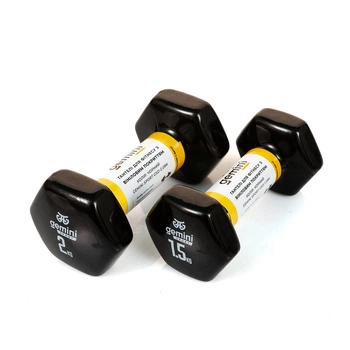 Гантели виниловые Gemini 2 кг × 2 шт черные для фитнеса и реабилитации (GSD-2.0BK)