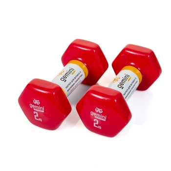 Гантели виниловые Gemini 2 кг × 2 шт красные для фитнеса и реабилитации (GSD-2.0RED)