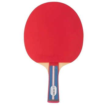 Ракетка для настольного тенниса Gewo Standard Pro FL (600300001) (931331)