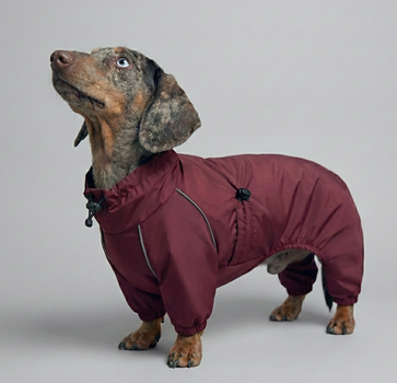 Дощовик для такс марсала Dogs Bomba MT-32/2