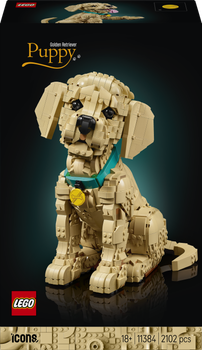 Zestaw klocków LEGO Icons Szczeniak golden retriever 2102 elementy (11384)