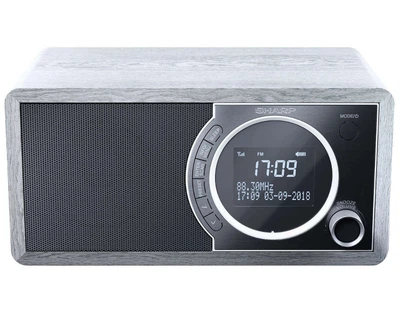 Радиоприемник колонка Sharp DR450GR Grey DAB+, FM RDS, Bluetooth, сеть
