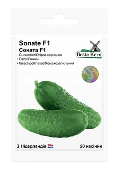 Огірок Соната F1 насіння (20 шт) корнішон ранній комахозапильний, Beste Kern, TM GL Seeds