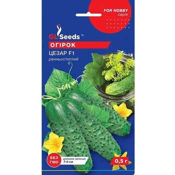 Огірок Цезар F1 0,5 г GL Seeds