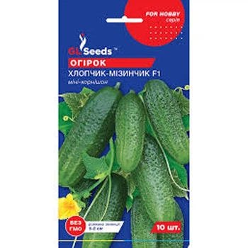 Огірок Хлопчик мізинчик F1 10 шт GL Seeds