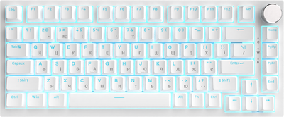 Klawiatura przewodowa Ajazz AK820 Red Switch USB-C White (AK820-R-W)