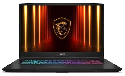 Ноутбук MSI Katana 17 HX B14W (B14WFK-400XPL) Black