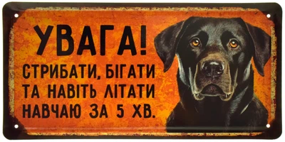 Металлическая табличка "Увага! Стрибати, Бігати Та Навіть Літати Навчаю За 5хв. (Ротвейлер)" (ms-002896)