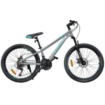 Велосипед SPARK FLEX 24`` ал11 ам диск серый