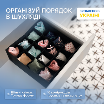 Органайзер ORGANIZE для трусиків 30 х 30 см Чорний (Bl001)