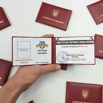 Сувенірне жартівливе посвідчення Тигриці в м'якому бордовому бланку креативний подарунок для подруги