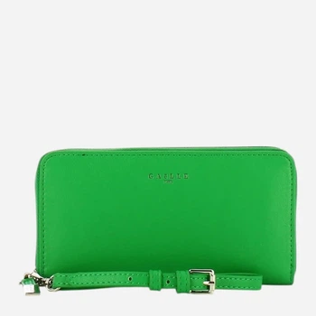 Гаманець жіночий зі штучної шкіри GAELLE GBADP4077 VERDE Зелений (800070303131)