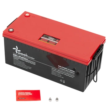 Литий ферумный аккумулятор с дисплеем Weekender IP66 CNLFP200-12.8(DS) 2026 год