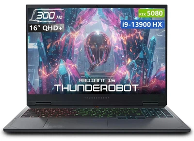 Ноутбук Thunderobot Radiant 16 2025 (R16) (1NLYA00050) Gray
