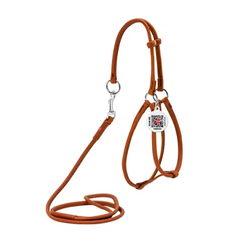 Кругла шкіряна шлея WAUDOG Soft N1 з повідцем для котів і дрібних собак 105 см 6 мм Коричнева (46236)