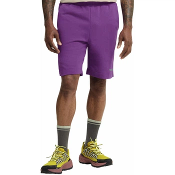 Шорти CELEBRATE THE PAW SHORTS M Jack Wolfskin A65908_I0132 54 Фіолетовий (4064886679299)