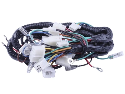 Проводка центральная TT AGRO MOTO для бензинового двигателя 50CC4T