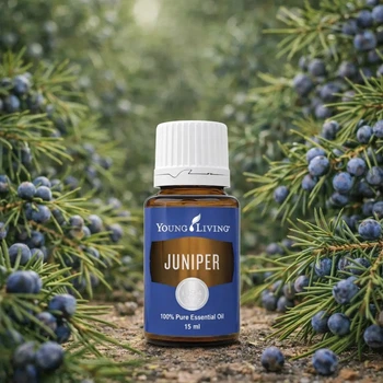 Ефірне олія Можжевельник (Juniper) (15 мл)
