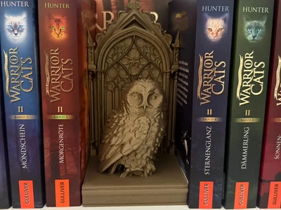 Книжковий упор сова у готичній ніші. Aivory