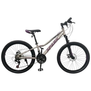 Велосипед SPARK TILL (колеса - 24", алюмінієва рама - 11") срібний