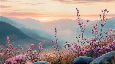Дизайнерские виниловые фотообои на флизелиновой основе Harmony