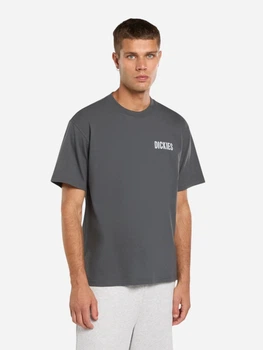 Koszulka bawełniana długa męska Dickies Wolfhurst Ss DK0A88QOCH01 M Ciemnoszara (800070354671)