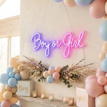 Светодиодная (LED) неоновая вывеска "Boy or Girl", от сети, сине-розовая, 50*20 см (9318-009)