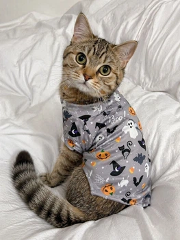 Кофточка на Halloween Сірого кольору розмір М
