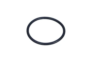 Уплотнительное кольцо VAG (WHT005379)