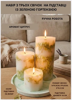 Свечи ароматические парафиновые набор свечей ароматичних арома свеча ручной работы декоративные ароматизированные свечи 3 шт на подставке с веточками зеленой гортензии аромат цитрус