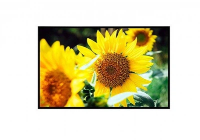 Профессиональный ЖК-монитор Qualvision QV-LED55-4K 55 дюймов IPS
