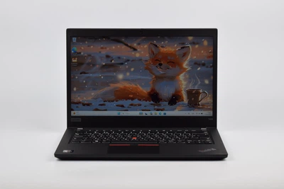 Ноутбук Lenovo ThinkPad T495 R5 Pro 3500U / 16 гб / ssd 256 гб / 14" TN HD / Win11 Pro (б/в) (1345)